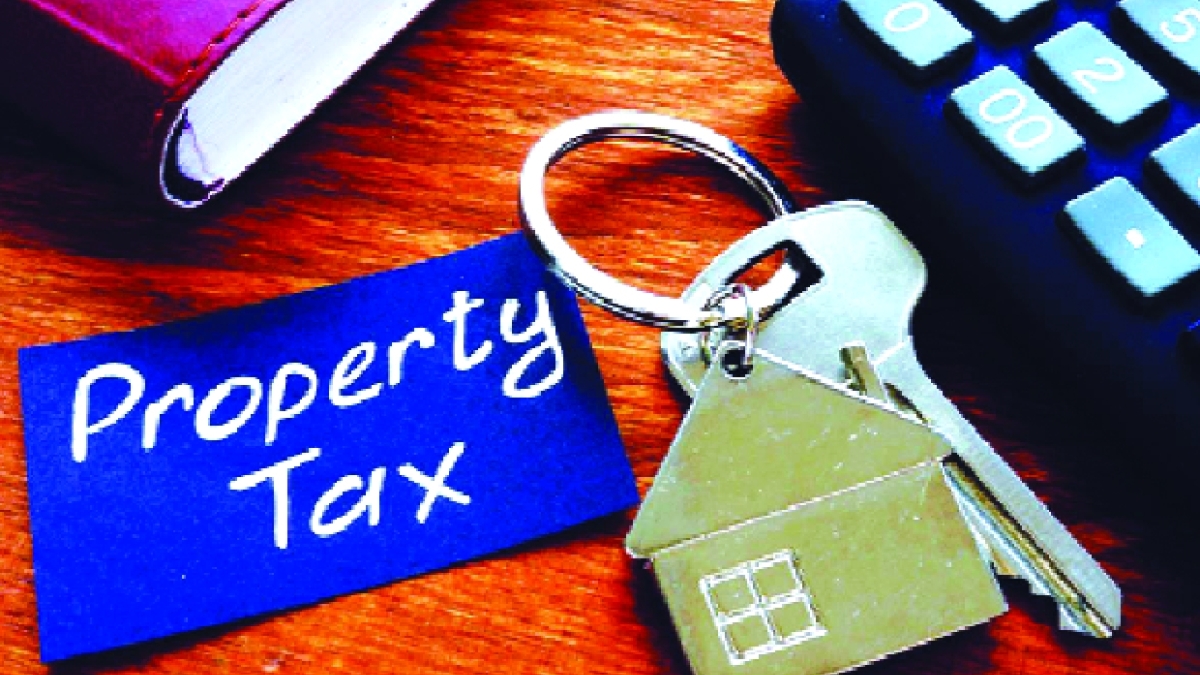 MCD Property Tax Collection Rises 46% to ₹3,116 Crore in FY26 on Improved Compliance and Amnesty Scheme