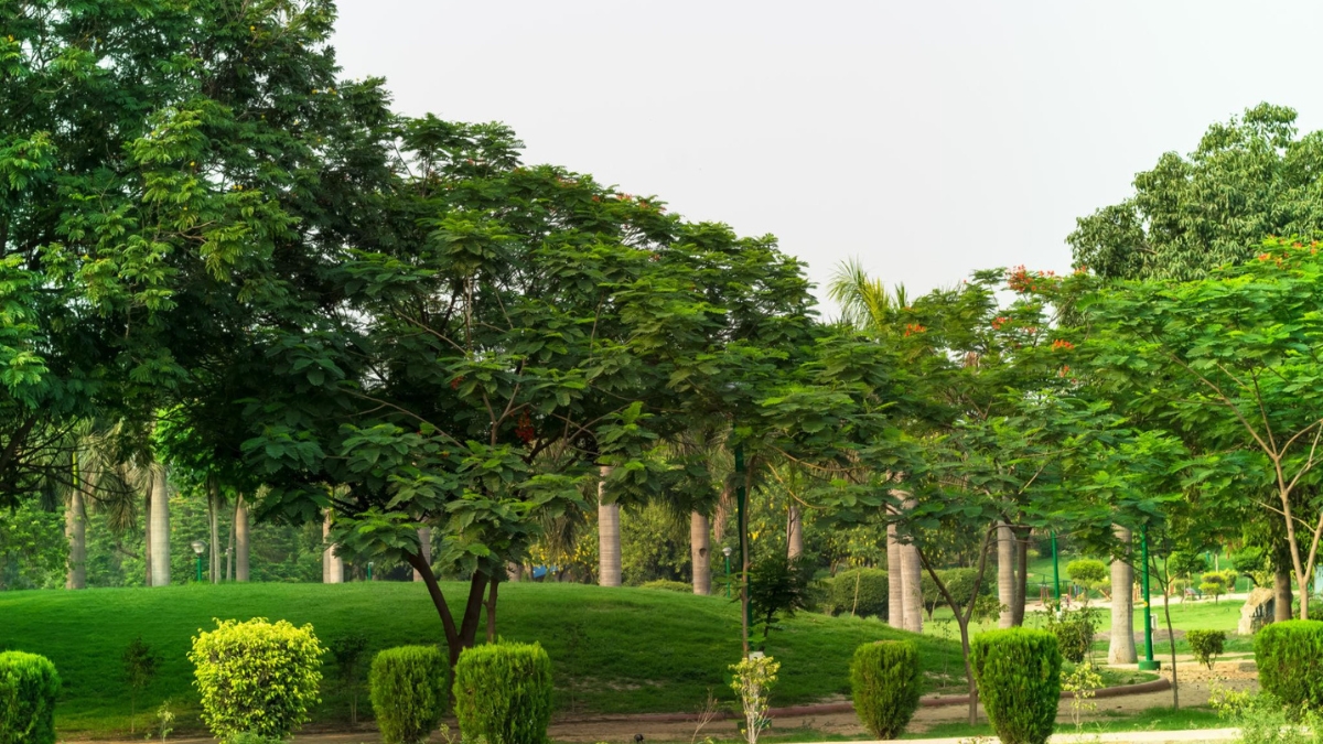 Delhi Environment Department Submits Draft Climate Action Plan SPACC 2.0 for Approval