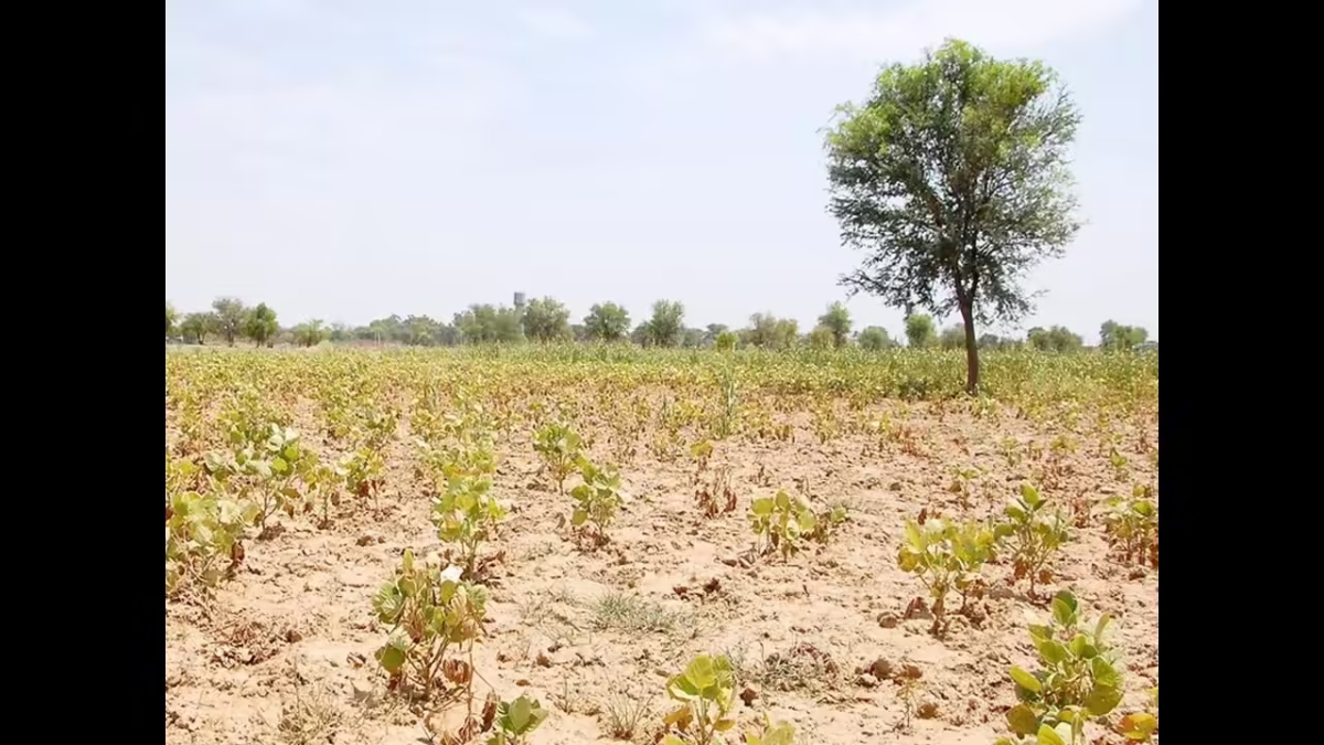 Land Registration Rates Set to Spike in Western Hyderabad
