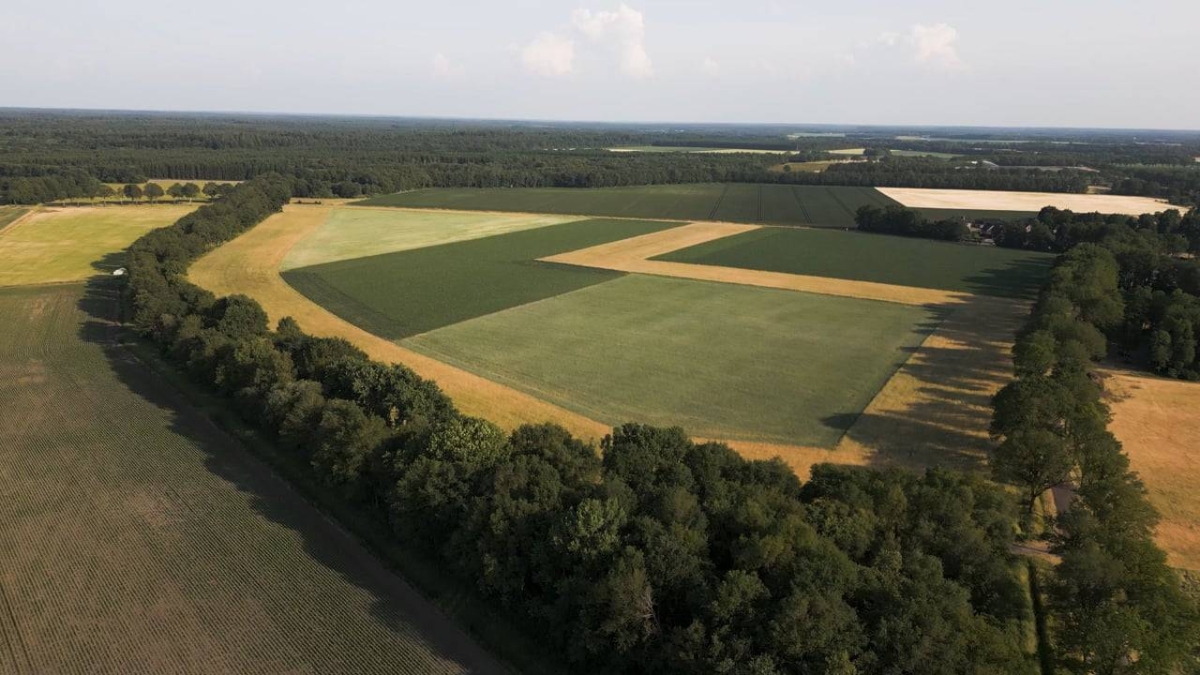 TGIIC to Auction 11 Acres Land in Raidurg with Upset Price of ₹139 Crore per Acre